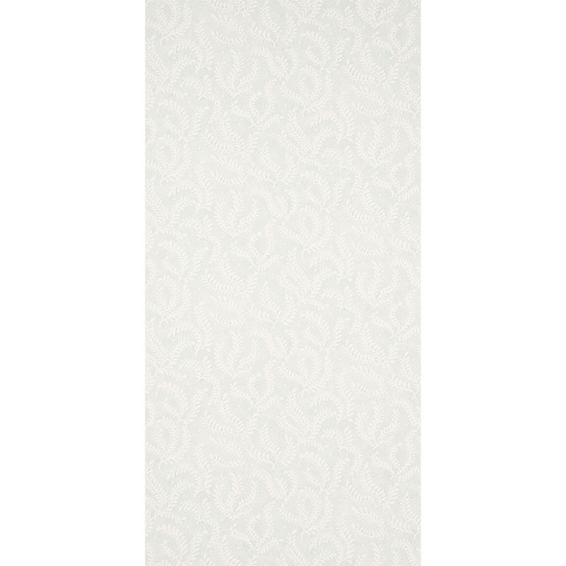 Papier peint gravé, Ciel