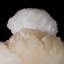 Fleurs centrées de Scolecite sur Stilbite rose