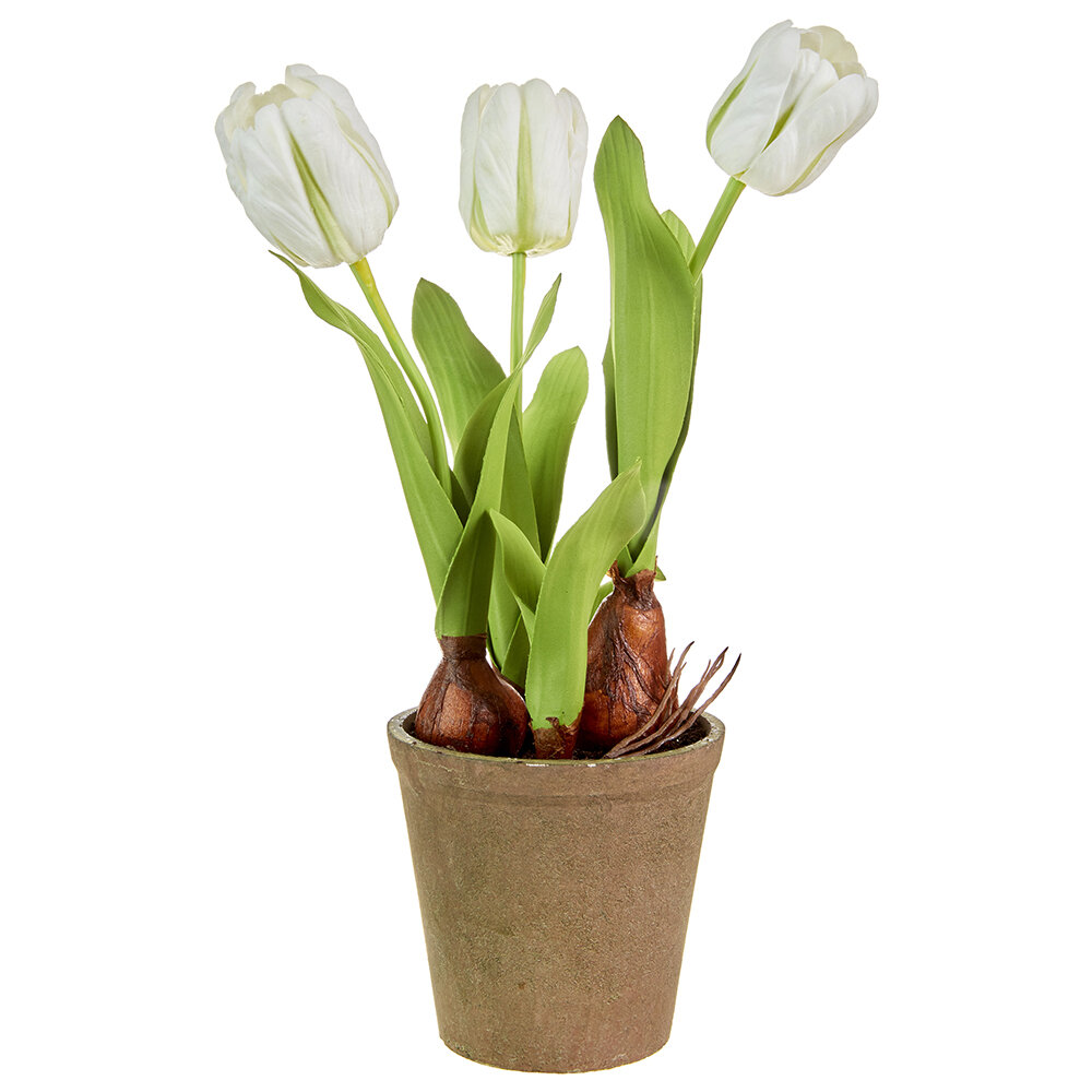 Winston Porter Foam Tulip Arrangement in Pot | Wayfair