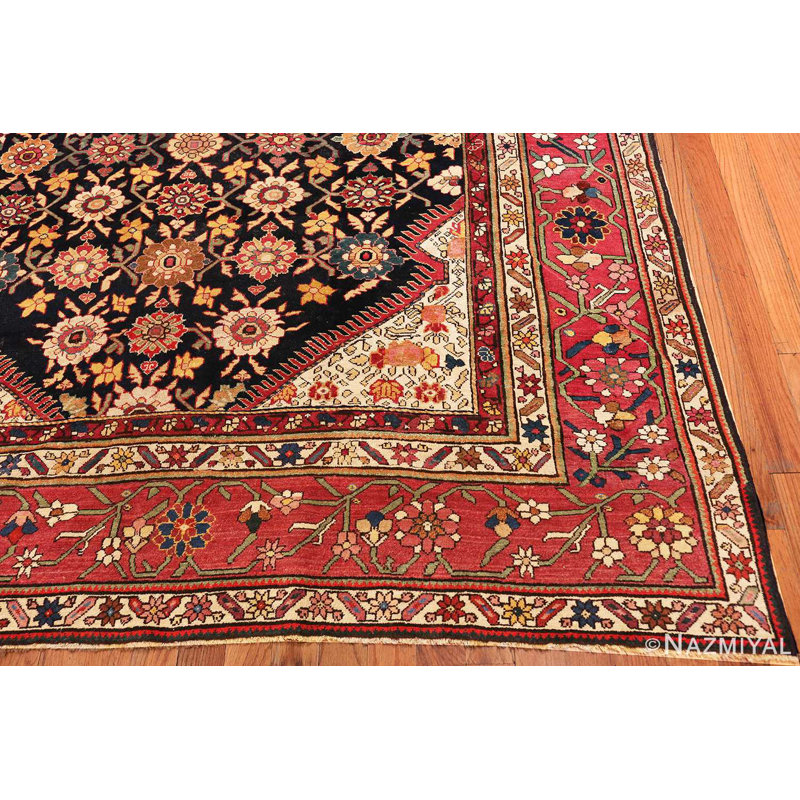 One-of-a-Kind Runner 7'5" X 19'7" Area Rug