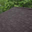 Breeins Rust Resistant Asphalt Roofing Kit