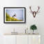 Lone Atlantic Puffin - Picture Frame Painting Print-55580814-55580809