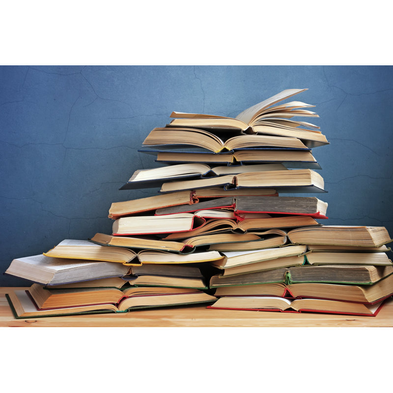 Books On The Shelf - Wrapped Canvas Print, 20cm H x 30cm W x 3.8cm D