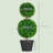 Zeigler 23.6'' H Artificial Boxwood Topiary Tree
