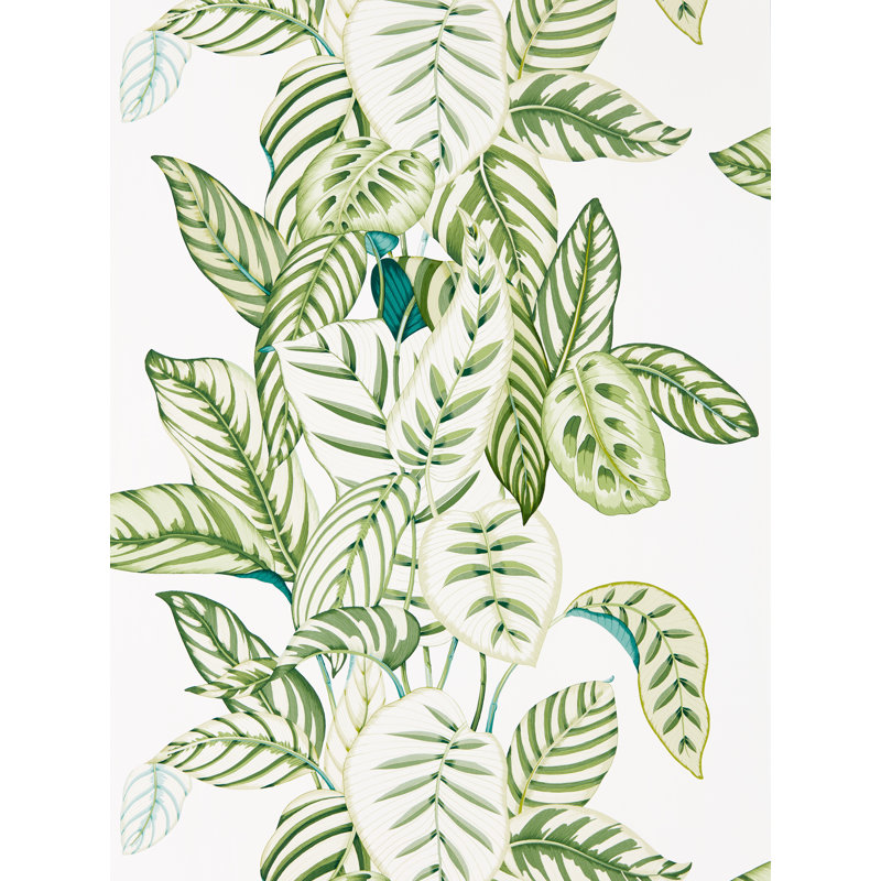 Calathea 10.05m x 68.6cm Matte Wallpaper Roll, White/Green