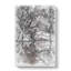 Reflection of the Pink Blossom Trees - Wrapped Canvas Drawing - Wrapped Canvas-56665979