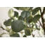 Faux eucalyptus Eudora avec pot à fleurs en bois et métal Gavri-144877984-145522156