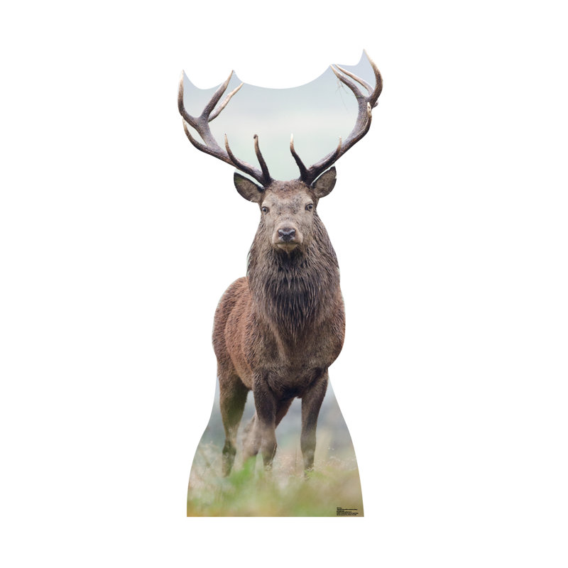 Life-Size Deer Cardboard Standup with Antlers