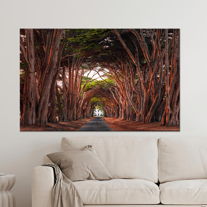 Art mural en verre Cypress Tree Tunnel: reproduction d'art sur toile, 1P, H: 11,9 po x l: 15,8 po
