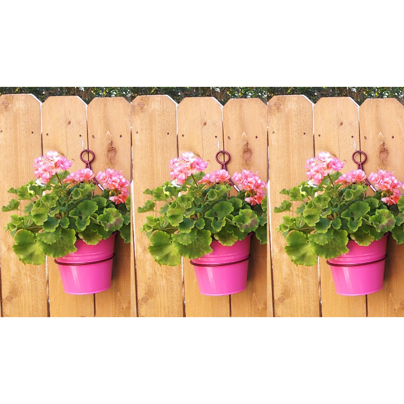 Ensemble de pot à fleurs mural 3 pièces Iron Hanger, Rose vif / Brun, 3