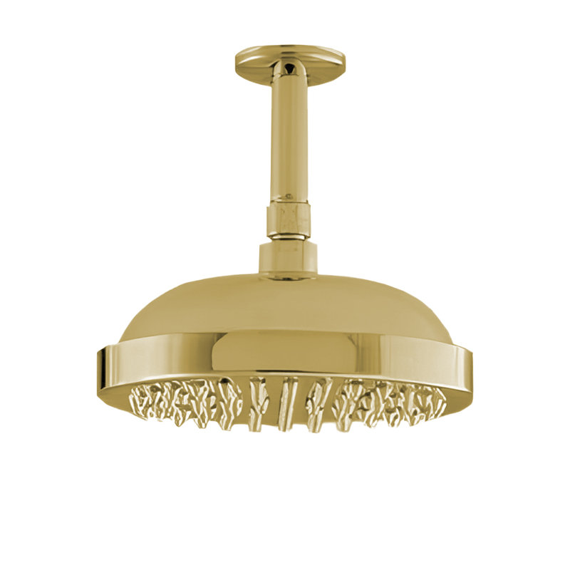 Tête de douche de plafond 8 po avec accoudoir de 4 po et écusson, Laiton ultra enduit