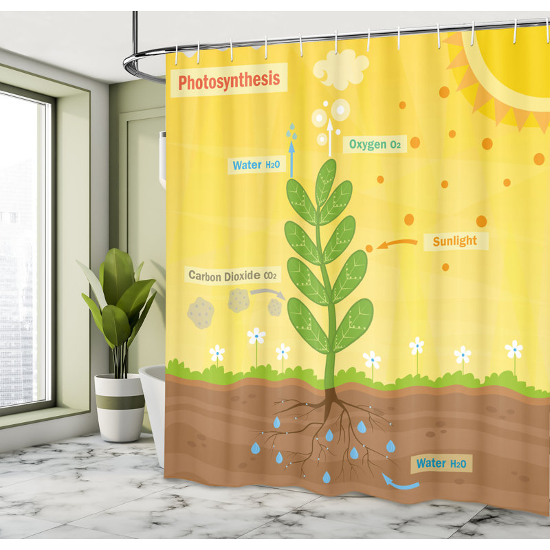 Shower Curtain with Hooks Included, 70"H x 69"W