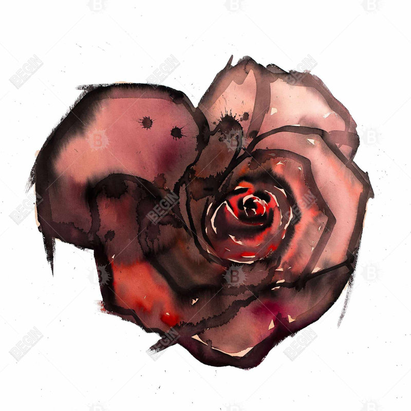 Dark rose - 32"x32" art on canvas