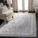 Delmer Performance Oriental Rug