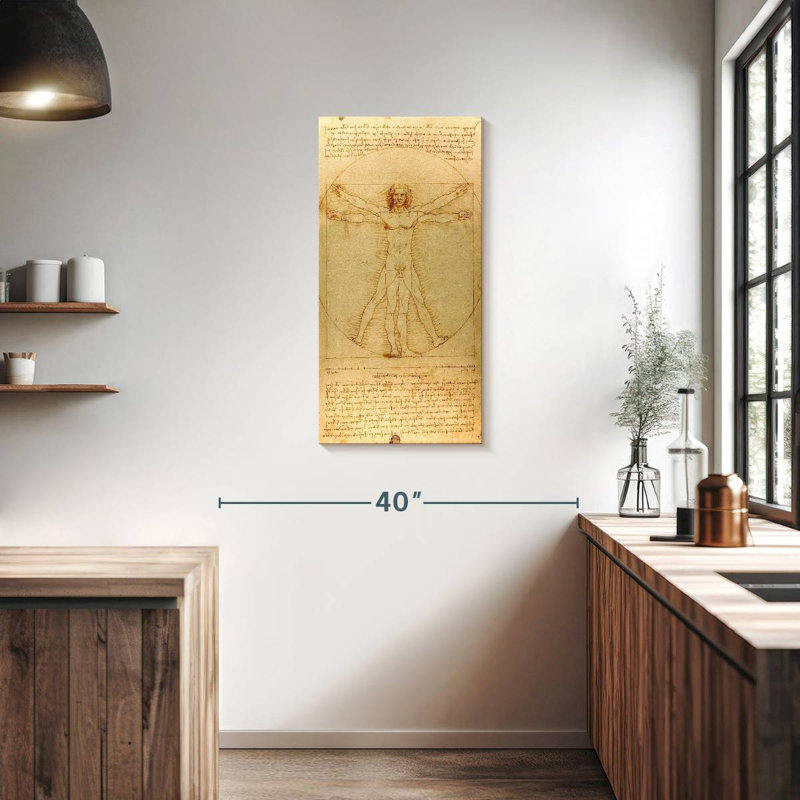 The Vitruvian Man, H 36 po x l 18 po