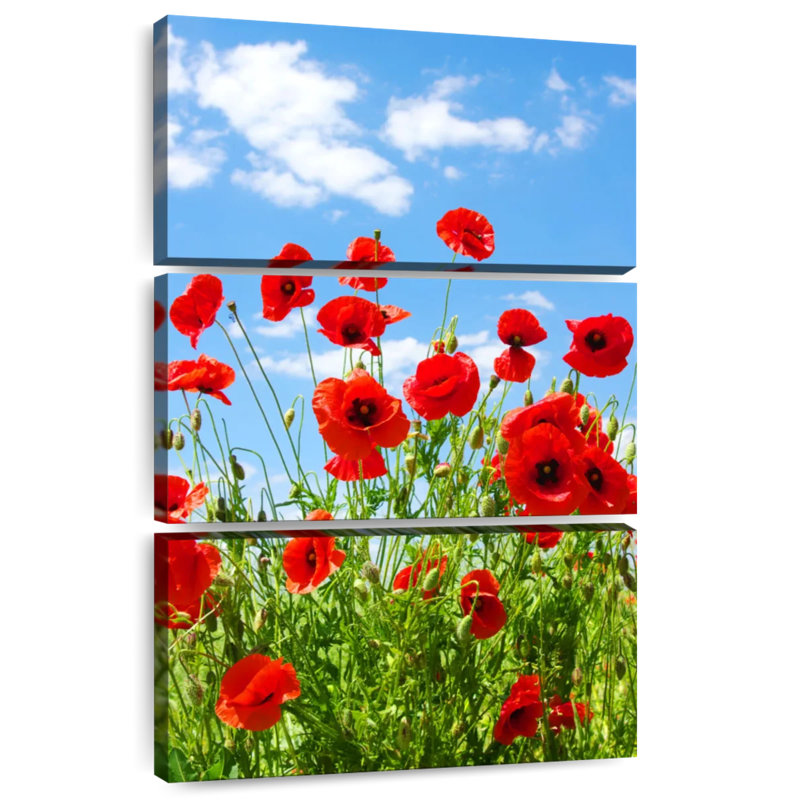 Coquelicots rouges Harnek, H 65 po x l 42 po