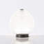 Venini Deco Luce Table Lamp-1827246920