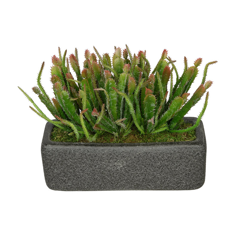9.5'' Faux Succulent Plant in Ceramic Vase, Black