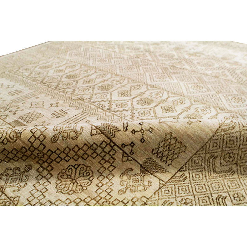 Southwestern Area Rug in Beige