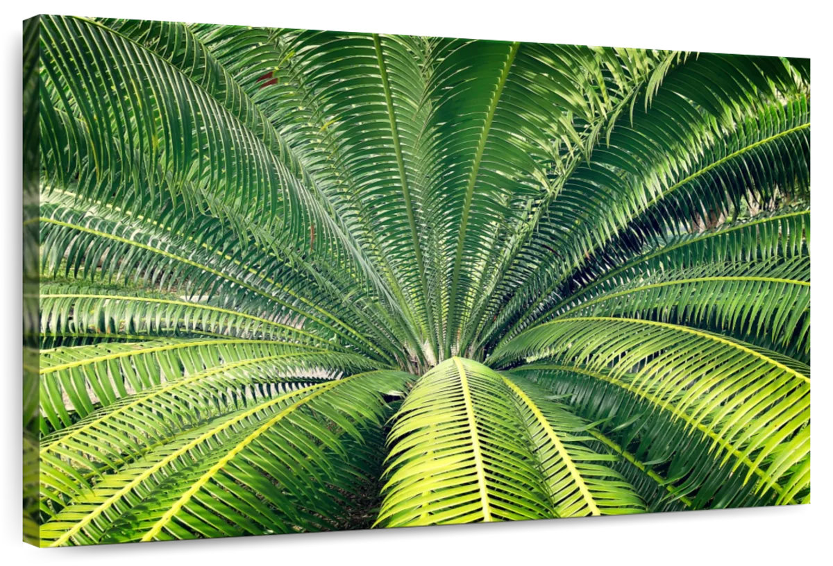 Lark Manor™ Harnek Overgrown Palm Tree | Wayfair
