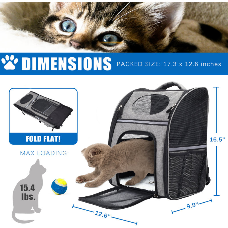 Sac à dos pour animal de compagnie pour grands / petits chats et chiens