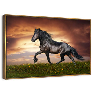 Cheval baroque