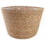 Cashaun Planter-1028848120