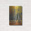 Luxe en métal «Fall In Glory I» par Tim O'Toole, M