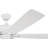 Lauresha 60'' Ceiling Fan with Light Kit-1467465468