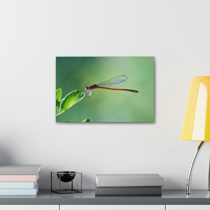 No Frame Print on Canvas, 30.48cm H x 45.72cm W