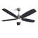 Ceaira 52'' Ceiling Fan with LED Lights