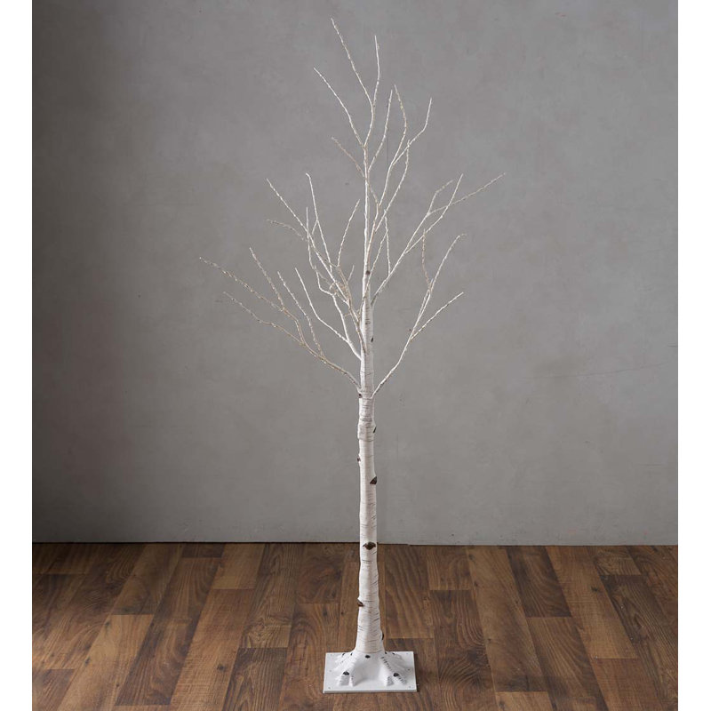 60'' Lighted Trees & Branches