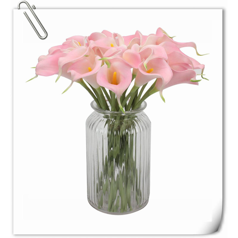 20 pièces de fleurs de lys Calla, Blanc rosé