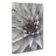 Green And Purple Succulent - Wrapped Canvas Painting-56642337