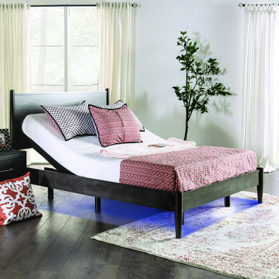 Devola 14" Adjustable Bed with Wireless Remote