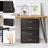 Aylinne 2 Drawer Storage Drawer-687692264