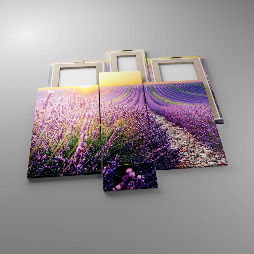 3-tlg. Leinwandbilder-Set Field Lavender Sun