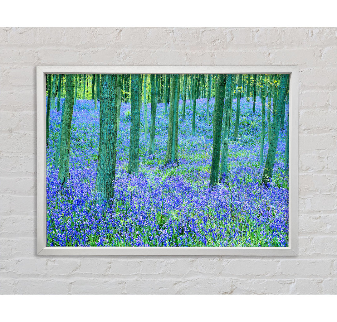 Bluebells In The Forest - Einzelner Bilderrahmen Kunstdrucke auf Leinwand