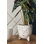 Dasteel Ceramic Pot Planter