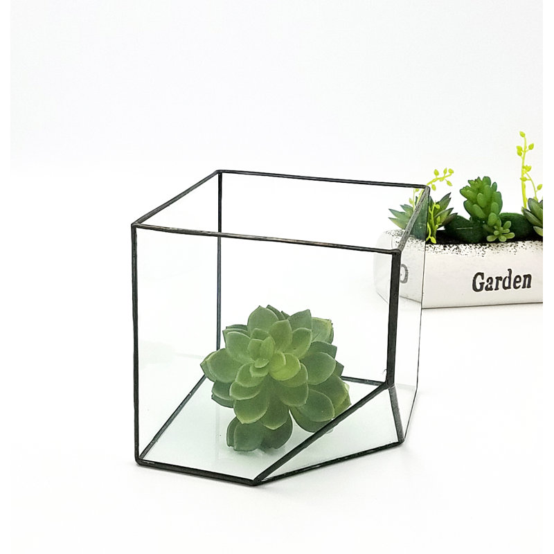 Terrarium en laiton de table succulent Northcutt
