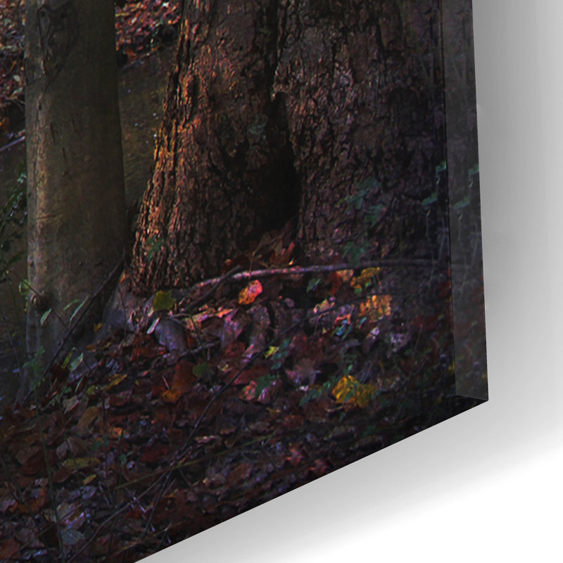 Art mural épique «Beyond the Wooden Bridge» par John Rivera, 24 po x 16 po, H 12 po x l 16 po x P 0,13 po