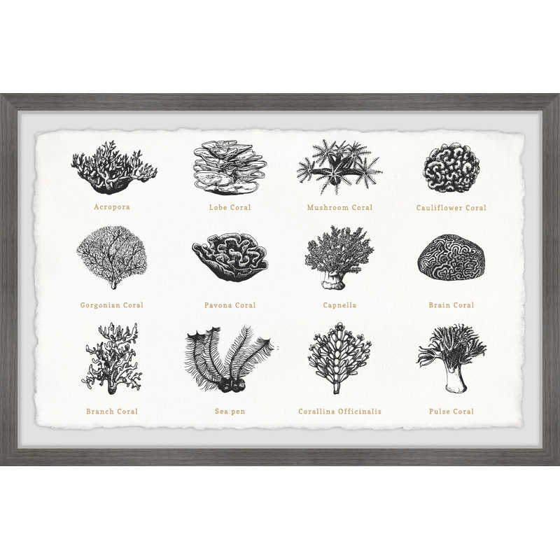 Coral Collection - Single Picture Frame Print, 20cm H x 30cm W x 3.81cm D