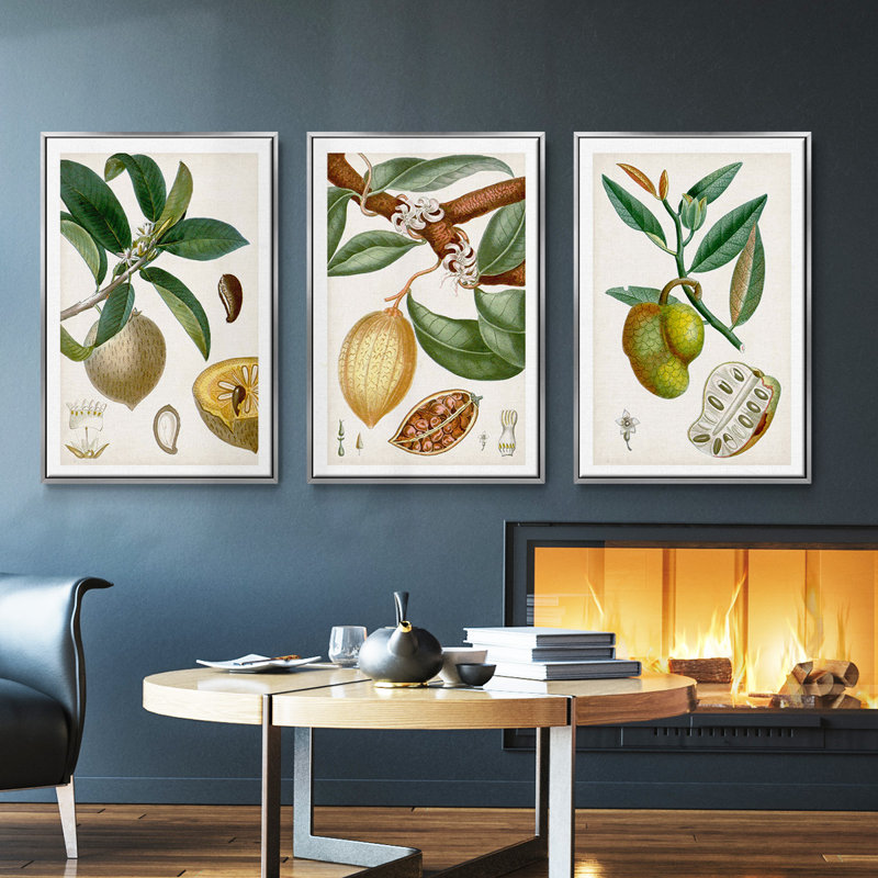 «Turpin Tropical Fruit I», ensemble de 3 toiles encadrées, H 27 po x l 54 po, Argent