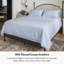 Ensemble de draps 100% coton biologique 100% percale certifié GOTS, ultra doux et soyeux, évacuant l'humidité-101648708-101648713