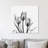 " Tulips "-23605272