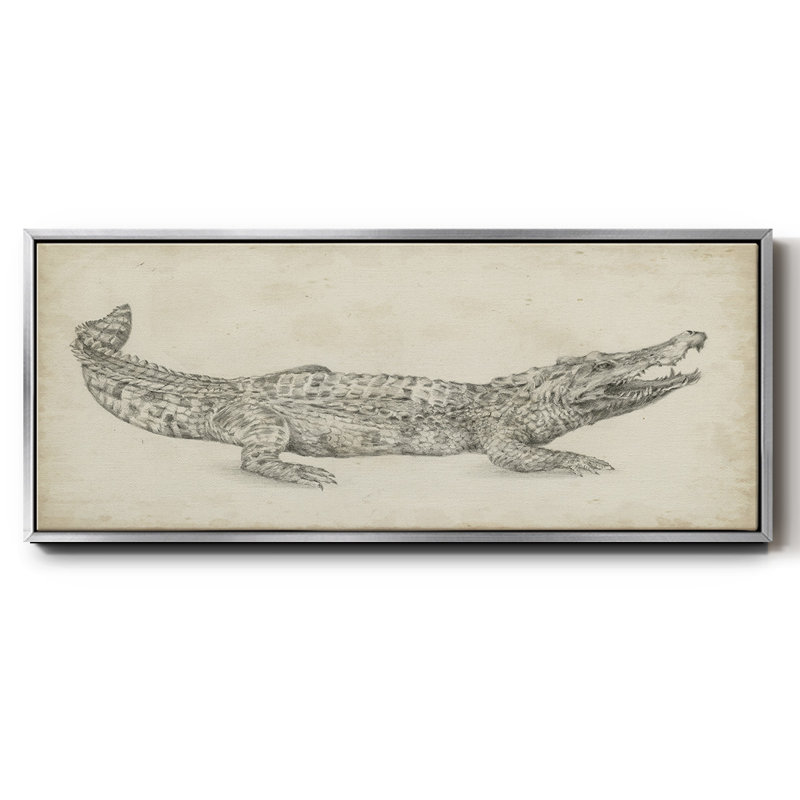 Crocodile Sketch- Framed Canvas, 20" H x 50" W