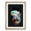Fiji Iguana - Framed Print-56742632-56742637
