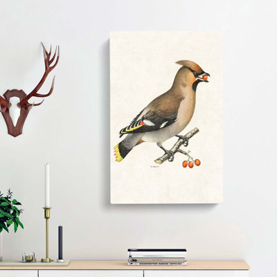 Bohemian Waxwing by Von Wright - Wrapped Canvas