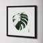 Variegated Monstera II by Grace Popp-2104103205-2104103202