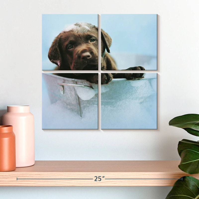 Brampt Beau le chien, H 18 po x l 18 po